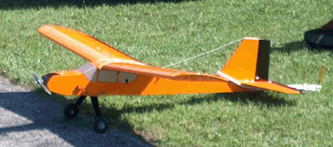 Sig Kadet 25
